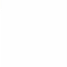 Pannello PVC 001 Bianco Assoluto 280×120 cm